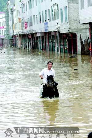 连日强降雨,凌云县逻楼镇已变成一片泽国.图为镇上一名居民骑马出行