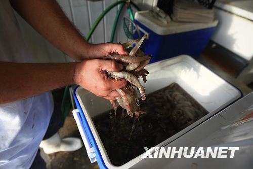 沂水哪有烤海鲜的_锡纸烤海鲜_海鲜烧烤(4)