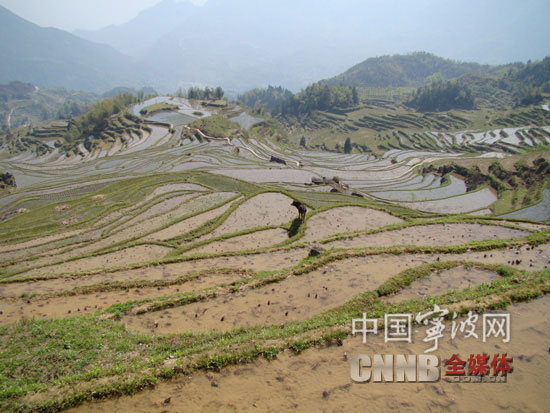 云和梯田一年四季景观各异,春来水满田畴,如串串银链挂山间