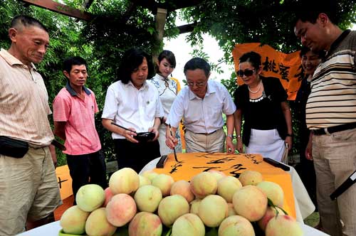 奉化水蜜桃节暨溪口蜜桃诗会开幕