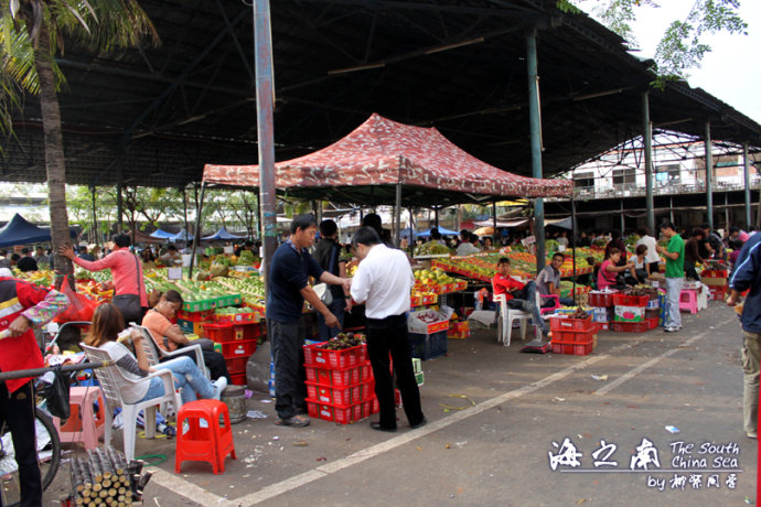 三亚海鲜干货批发_海鲜干货批发市场_三亚第一市场海鲜图片(3)