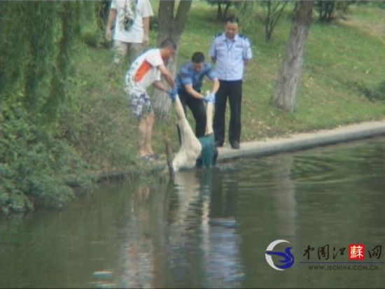 南京阅江楼护城河发现漂浮女尸 死因不详(组图)