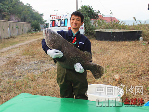 深圳网购海鲜_深圳海鲜_海鲜披萨(2)