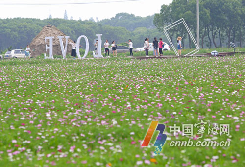 荪湖花海今年更美了!看看都有哪些变化?