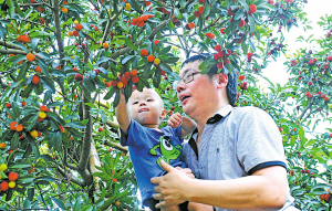 杨梅大年带来销售瓶颈 宁波本地杨梅如何走得