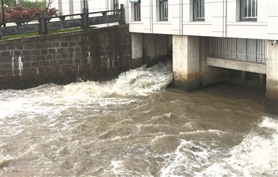 我区铜盆浦泵站,长丰泵闸两座强排泵站及辖区内印洪碶,大石碶,甬新