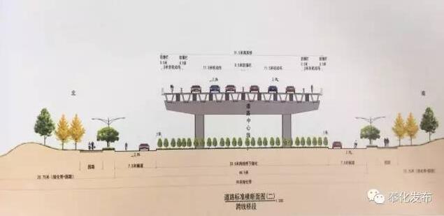 八车道 常规段 高架桥断面,31.5m:0.5m防撞墩 3m非机动