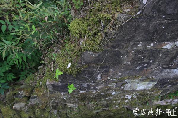 已退休的贺定国老师特地从市区返回老家,一路为我们作生动的讲解.