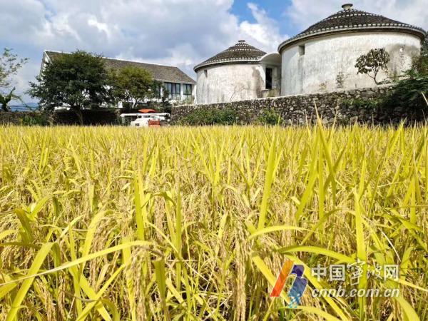 象山老粮仓变身竹文化非遗展馆-新闻中心-中国宁波网