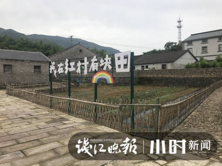 "红色根脉经典线路 采风团走进横坎头村